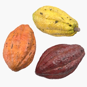 3D model Cocoa Fruit Set