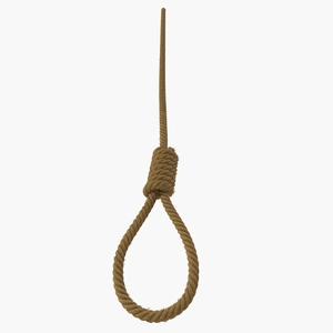 Noose 3D model