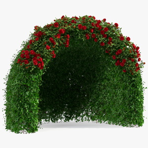 3D Rose Garden Gazebo model