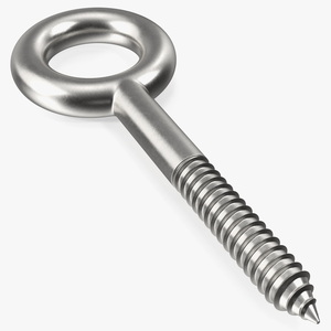 3D Eye Lag Screw model