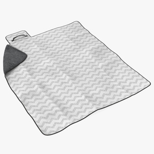 Large Picnic and Outdoor Blanket 3D