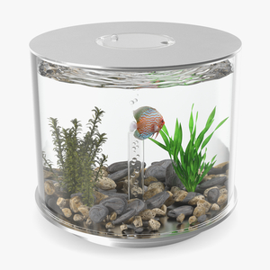 Chrome Cylinder Aquarium 3D model