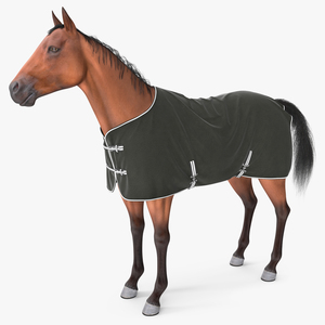 Fleece Horse Blanket Black on Horse Fur 3D model