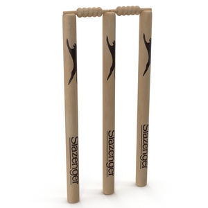 Cricket Wicket Slazenger 3D model