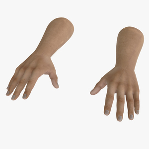 3D model White Man Hands Base Pose