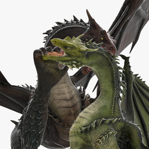 The Battle of Two Mythical Dragons 3D model