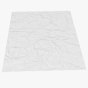 3D model Crumpled Paper Sheet