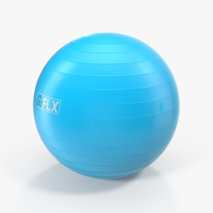 Fitness Stability Ball Blue 3D