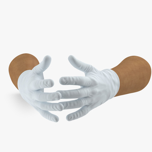 Hands Wearing Medical Gloves White 3D model