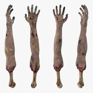 Single Zombie Arm 3D