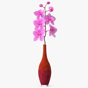 3D Small Pink Orchid in Glass Vase