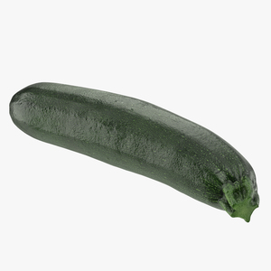 3D Zucchini Vegetable model