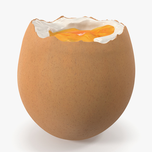 3D model Soft Boiled Egg Open