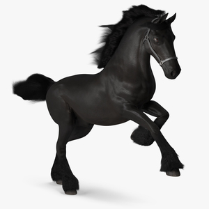 3D Running Friesian Horse Fur