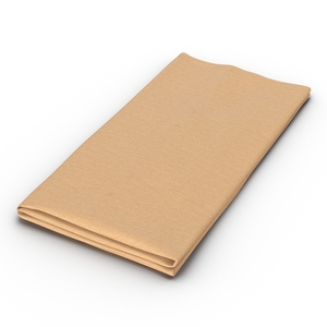 3D model Napkin 2