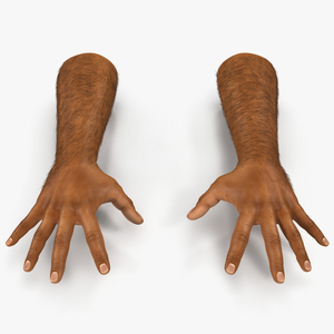 3D model African Man Hands 2 with Fur Pose 4