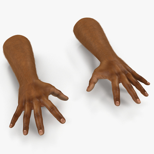 3D model African Man Hands 3 with Fur Pose 4