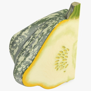 Green Color Bush Pumpkin Quarter 3D