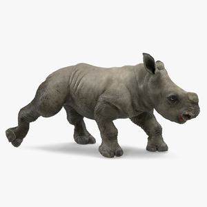 3D Baby Rhino Walking Pose model