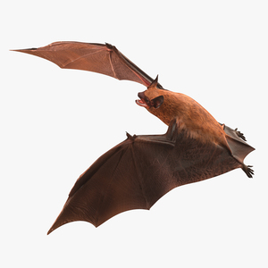 3D model Bat Rigged