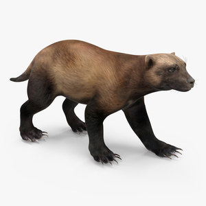 3D Wolverine Dark Color Walking Pose model