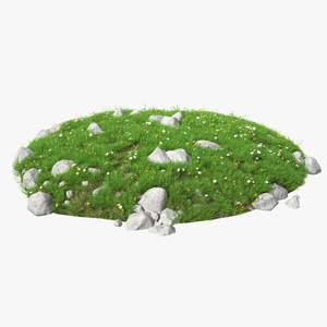 3D Meadow with Blooming Flowers model