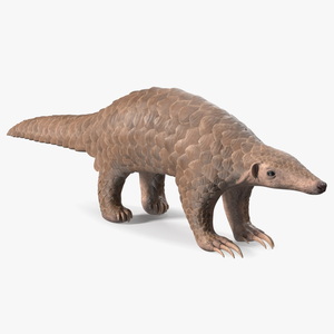 3D model Pangolin