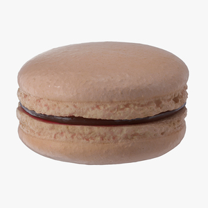 Chocolate Macaron 3D