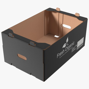 3D Fruit Packaging Corrugated Cardboard Tray Box Black