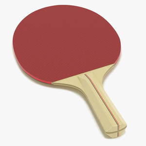 3D Ping Pong Racket