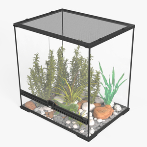 Big Terrarium with Plants and Green Lizard 3D