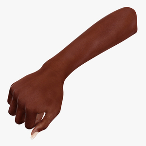 3D Dark Skinned Woman Fist model