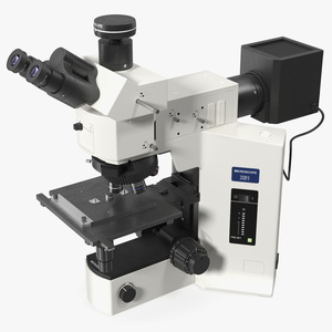 3D model Professional Trinocular Upright Fluorescence Microscope