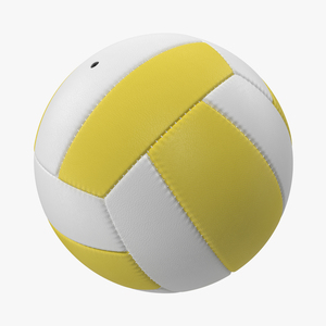 Volleyball Ball 3 3D