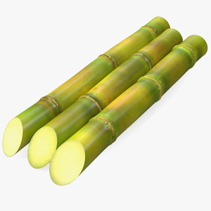 Fresh Sugarcane Sticks 3D