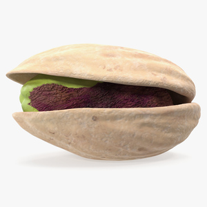 Roasted Opened Pistachio 3D model