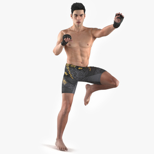 3D UFC MMA Fighter Fur Rigged