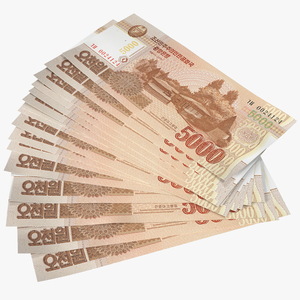 Fan of North Korea 5000 Won 2013 Banknotes 3D