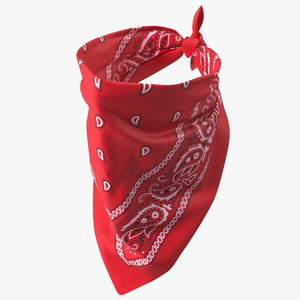 Bandana Paisley Pattern Red 3D