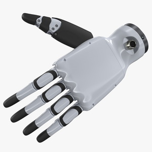 Dexterous Robotic Hand Left 3D