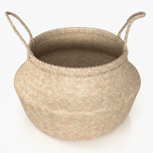 3D Foldable Wicker Straw Basket model