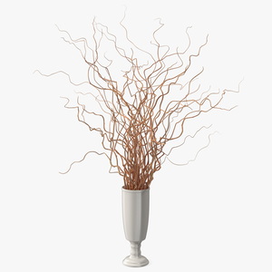 Dried Natural Curly Willow in Porcelain Vase 3D model