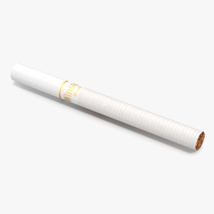 Cigarette Winston 3D