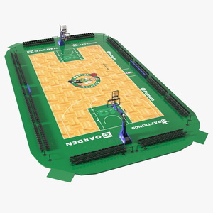 3D Basketball Court Boston Celtics