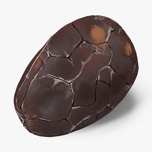 3D model Cocoa Bean