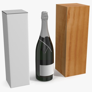 3D Champagne Unpacked model