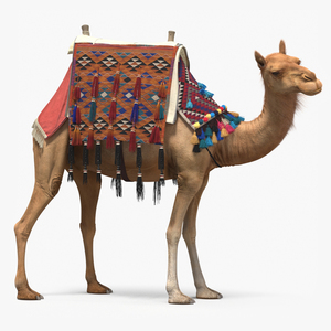 3D Camel with Decorated Saddle Fur Rigged model