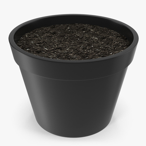 3D model Flower Pot With Soil