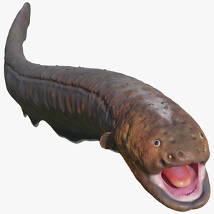 Electric Eel Attack Pose 3D model