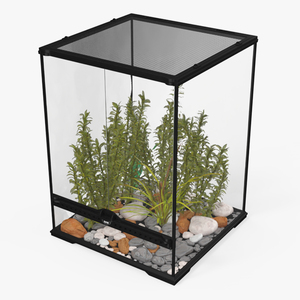 Tall Terrarium for Reptiles with Wild Plants 3D model